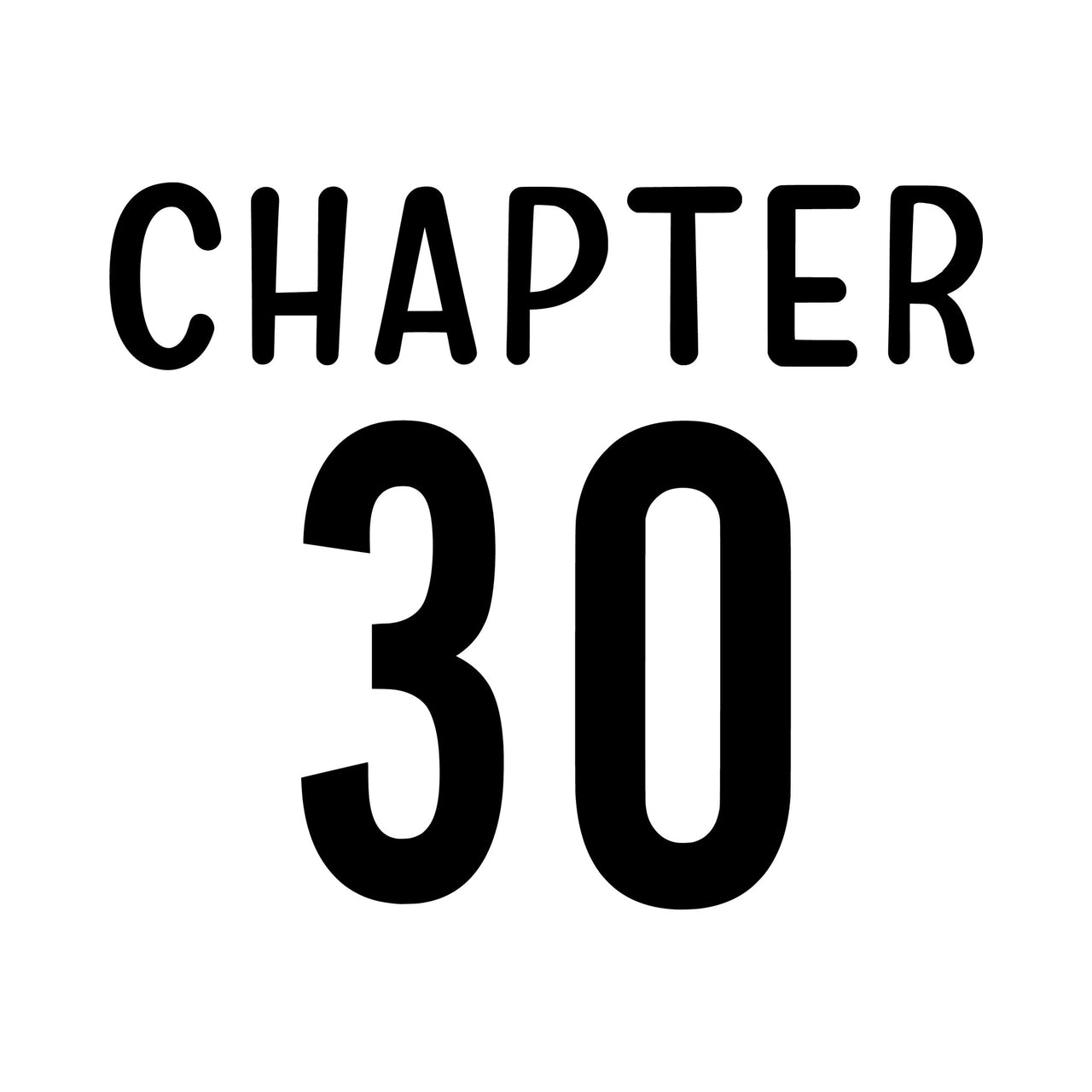 Flat design artwork in black: 'CHAPTER' in rounded capitals above a bold number 30 for a birthday shirt