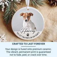 Custom Ceramic Pet Memorial Ornament with Photo - Paw Prints on Our Hearts - Personalized Remembrance Gift - Loss of a Beloved Pet