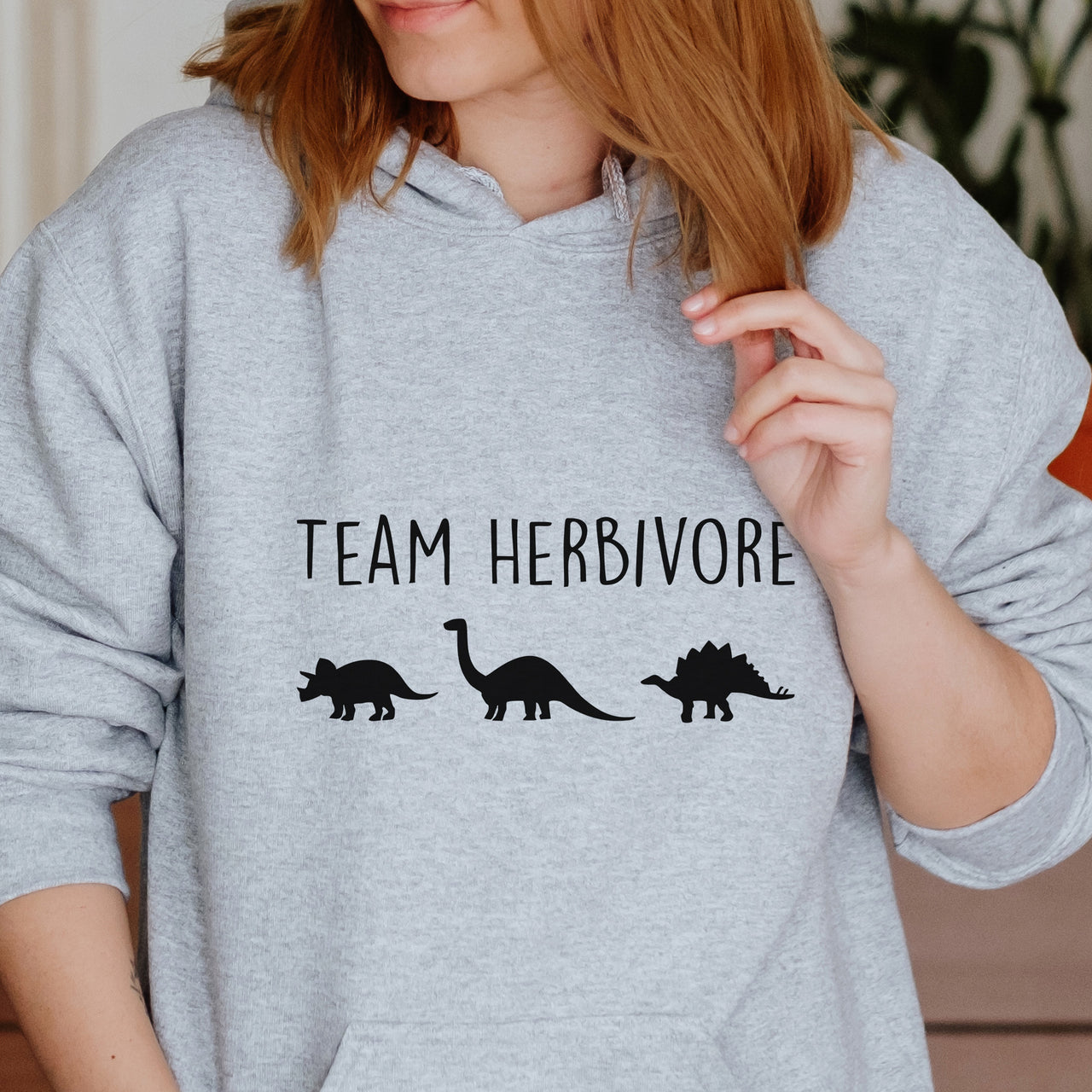 Team Herbivore Dinosaur Iron-On Transfer shown on a hoodie